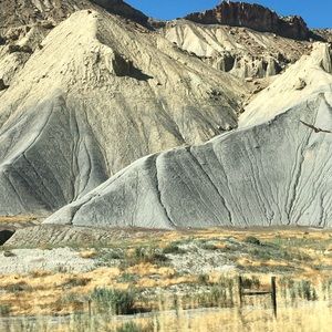 Meet your Posher, Barbara